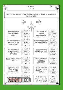 CÜMLEDE ZIT ANLAMLI KELİME ÇALIŞMA KAĞIDI