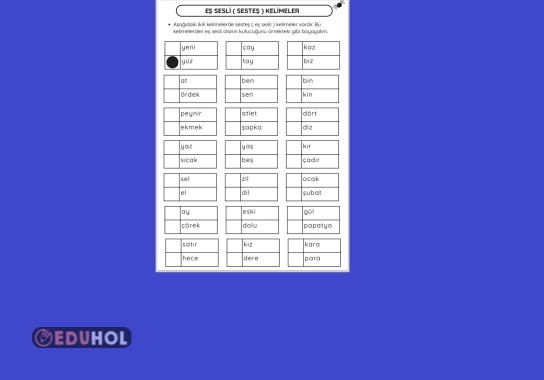 EŞ SESLİ KELİME ÇALIŞMA KAĞIDI 2