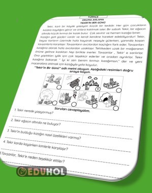 OKU ANLA OLAYLARI SIRALA SORULARI CEVAPLA