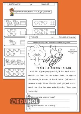 OKU, ANLA, SAYI KADARINI YAZ ÇALIŞMA KAĞIDI