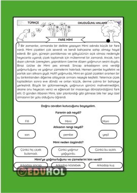 OKUDUĞUNU ANLAMA ÇALIŞMA KAĞIDI