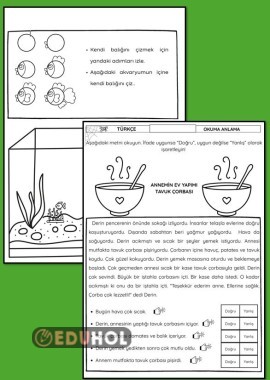 OKUMA ANLAMA, BASİT BALIK ÇİZİMİ