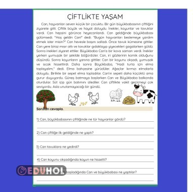 OKUMA ANLAMA ÇALIŞMA KAĞIDI