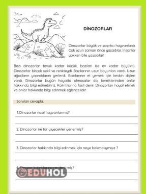 OKUMA ANLAMA ÇALIŞMA KAĞIDI