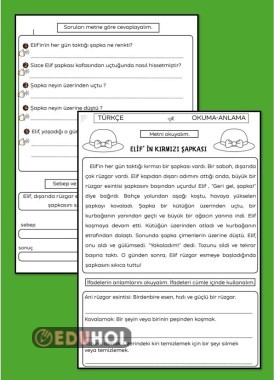 OKUMA ANLAMA METNİ İLE SEBEP SONUÇ CÜMLELERİ ÇALIŞMA KAĞIDI