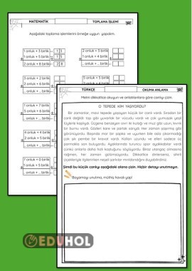 OKUMA ANLAMA, TOPLAMA İŞLEMİ ÇALIŞMA KAĞIDI