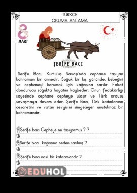 ŞERİFE BACI 8 MART OKUMA ANLAMA METNİ