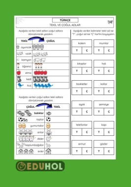 TEKİL ÇOĞUL ADLAR ÇALIŞMA KAĞIDI