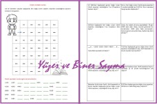 Yüzer ve Biner Sayma