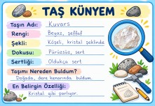Fen Bilimleri