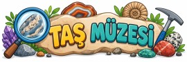 Taş Müzesi Afiş Yazısı