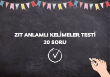 ZIT ANLAMLI KELİMELER