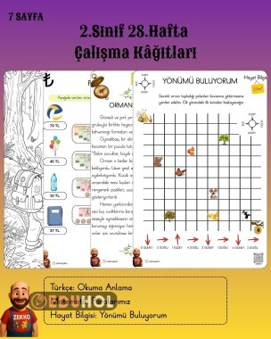 2.Sınıf 28.Hafta Çalışma Kağıtları - 8 Sayfa