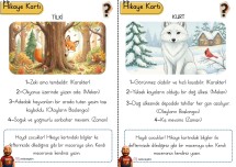 Yaratıcı Okuma Yazma Hikaye Kartları