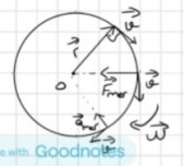 DÜZGÜN DAİRESEL HAREKET ÜNİTESİ