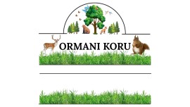 ORMANI KORU