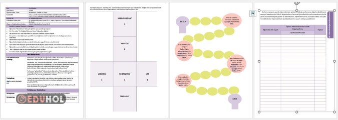 Fen MEB Canlılar ve Yaşam Süreç Değerlendirme