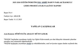 ÇEDES ARALIK AYI RAPOR