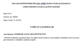 ÇEDES EKİM AYI RAPOR