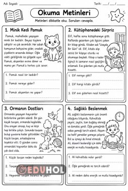 Okuduğunu Anlama Metinleri