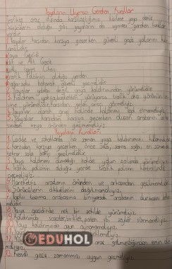 Trafikte Uyulması Gereken Kurallar