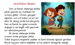 1. Sınıf Okuduğunu Anlama Metni 6