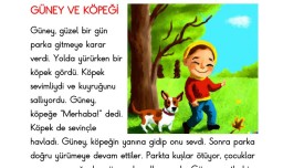 1. Sınıf Okuduğunu Anlama Metni