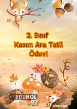Kasım Ara Tatil Ödevi (Sade Hafta İçi Kapsayacak Ödev Sayfaları)