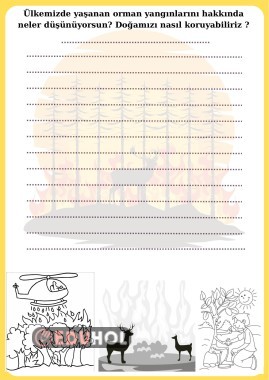 İlk dersimiz “ Ormanlarımız “