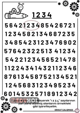 Dikkat çalışması