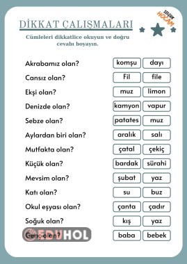 Dikkat çalışması