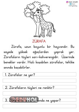 BASİT OKUDUĞUNU ANLAMA ( ZÜRAFA )