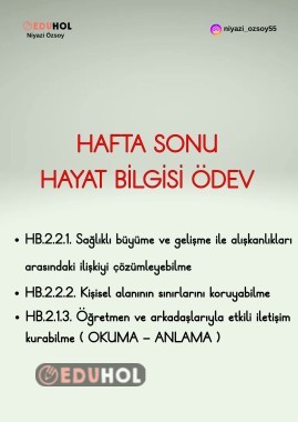 HAFTA SONU HAYAT BİLGİSİ ÖDEV
