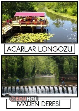 SAKARYA ( YAŞADIĞIM YER VE GÜZEL ÜLKEM )