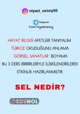 SEL NEDİR?