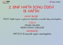 2. SINIF HAFTA SONU ÖDEVİM ( 8. HAFTA )