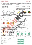 TÜRKÇE TEST - 2