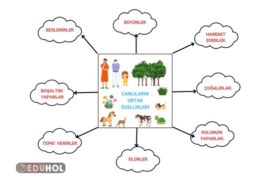 CANLILARIN ORTAK ÖZELLİKLERİ DEFTERE YAPIŞTIRMA
