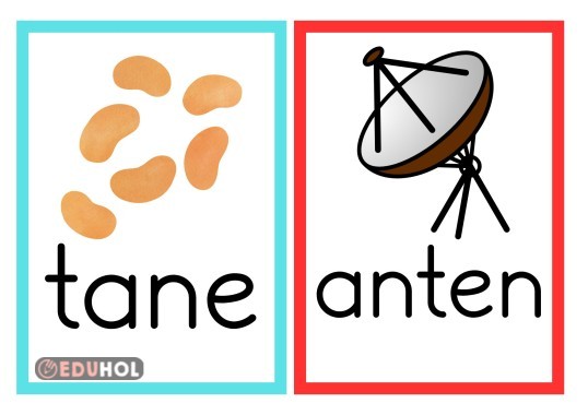tane ve anten sözcükleri pano görseli