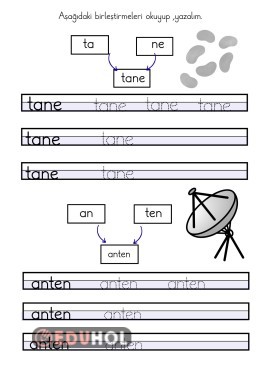 tane ve anten sözcükleri okuma yazma
