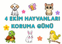 4 EKİM HAYVANLARI KORUMA GÜNÜ PANO GÖRSELİ