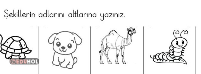 Görsele bakarak adını yaz.