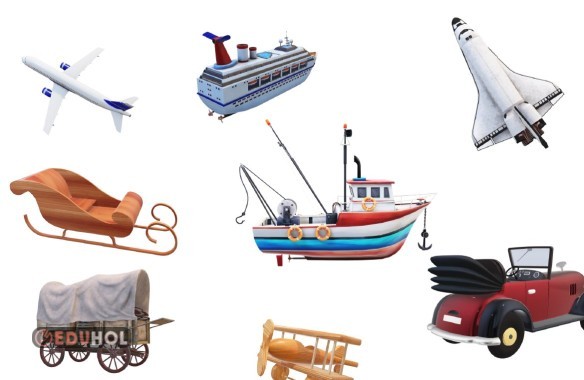 Hangis Gitti Dikkat Etkinliği