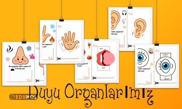 Duyu Organlarımız