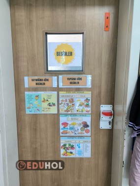 BESİNLER DUVAR PANOSU