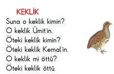 Ö SESİ METİN OKUMA -KEKLİK-