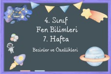 4. Sınıf Besinler ve Özellikleri