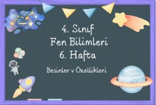 Besinler ve Özellikleri