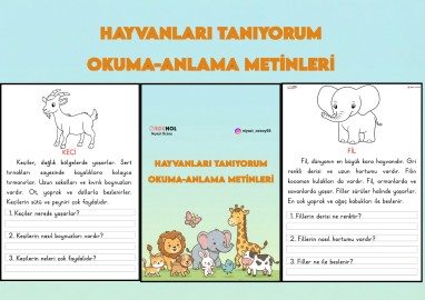 HAYVANLARI TANIYORUM OKUMA ANLAMA METİNLERİ